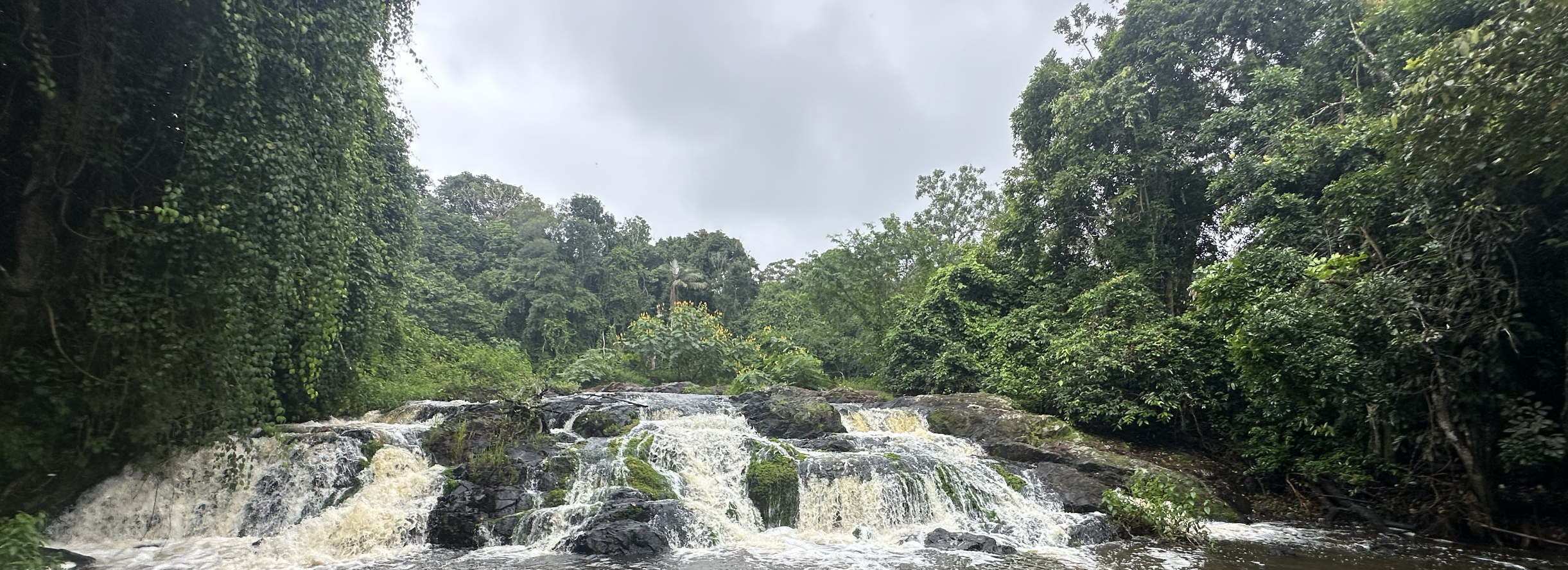 A Journey Through Bahia’s Cacao Heartland.